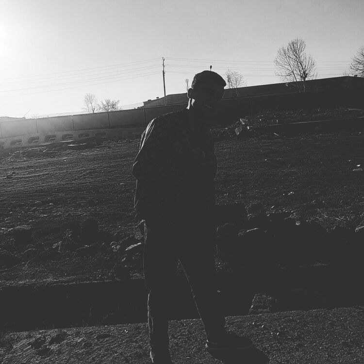  43858772  , 24 ,    