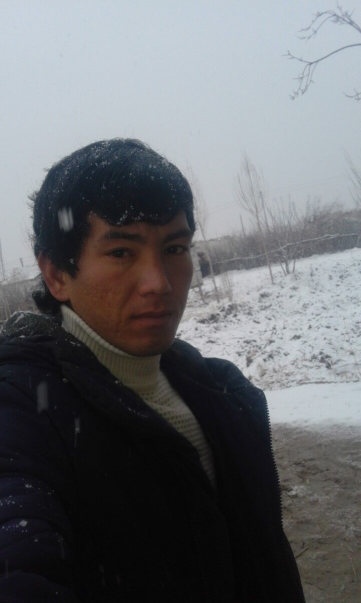  18014642  , 31 ,    