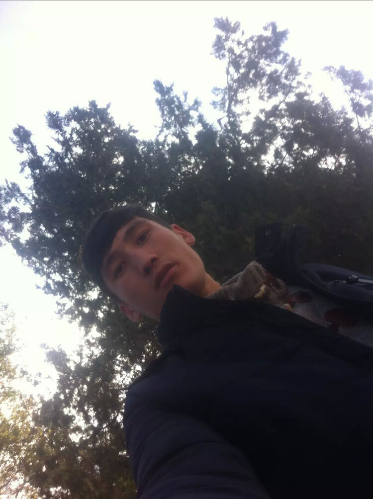 ���� 9831102 ������� NODIR, 33 ����, ���� ���������� � ������