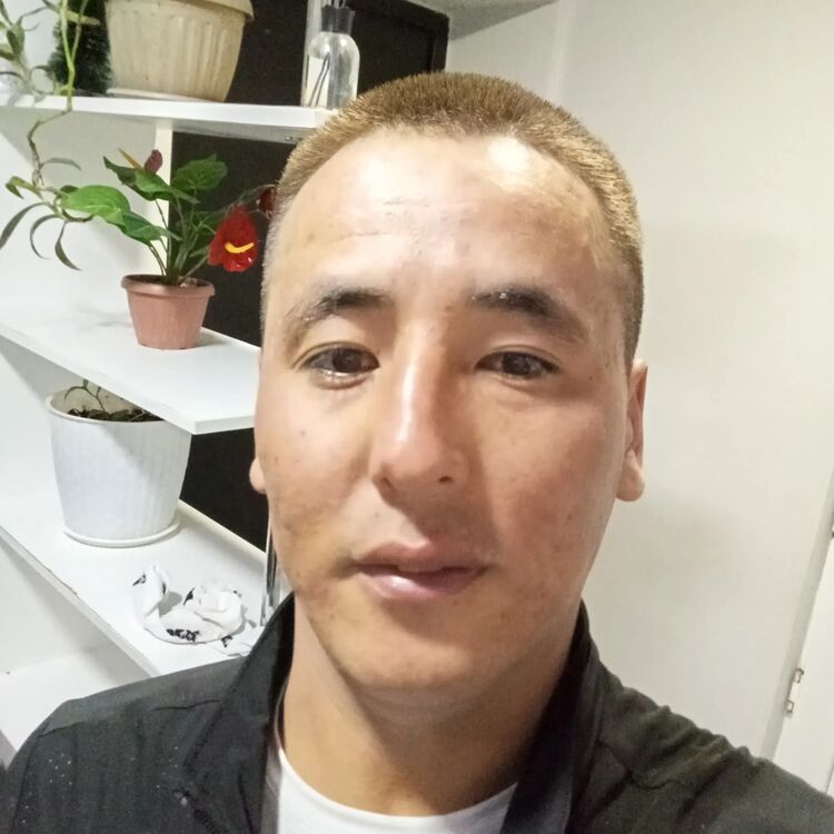  53518102  , 31 ,    