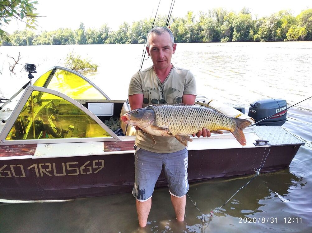  23264392  Aleksei, 50 ,    