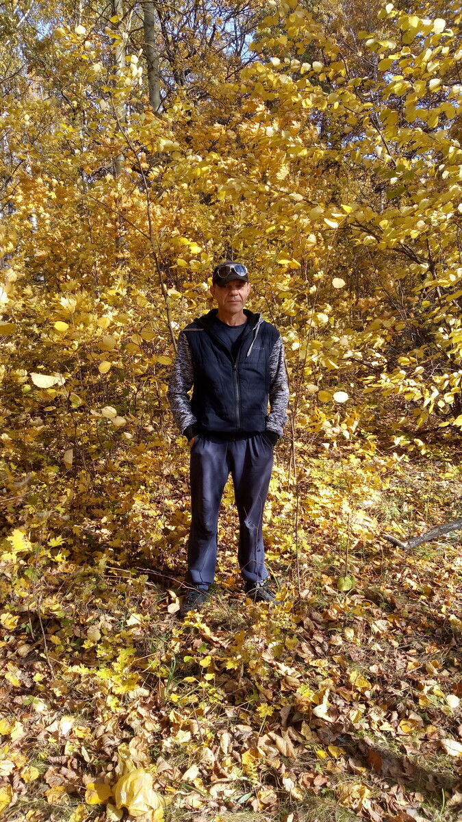  ,   , 55 ,   , 