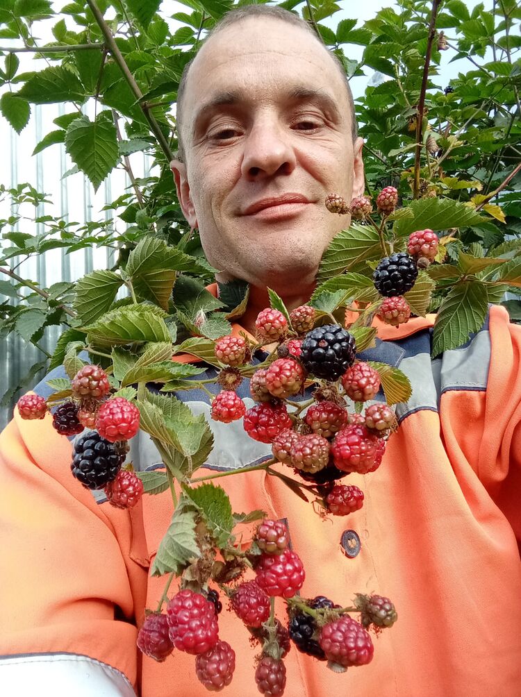 ���������� ������, ���� ������� �����, 43 ����, ������������ ��� ������, ����� � ���������, c�������� ���������, ���������