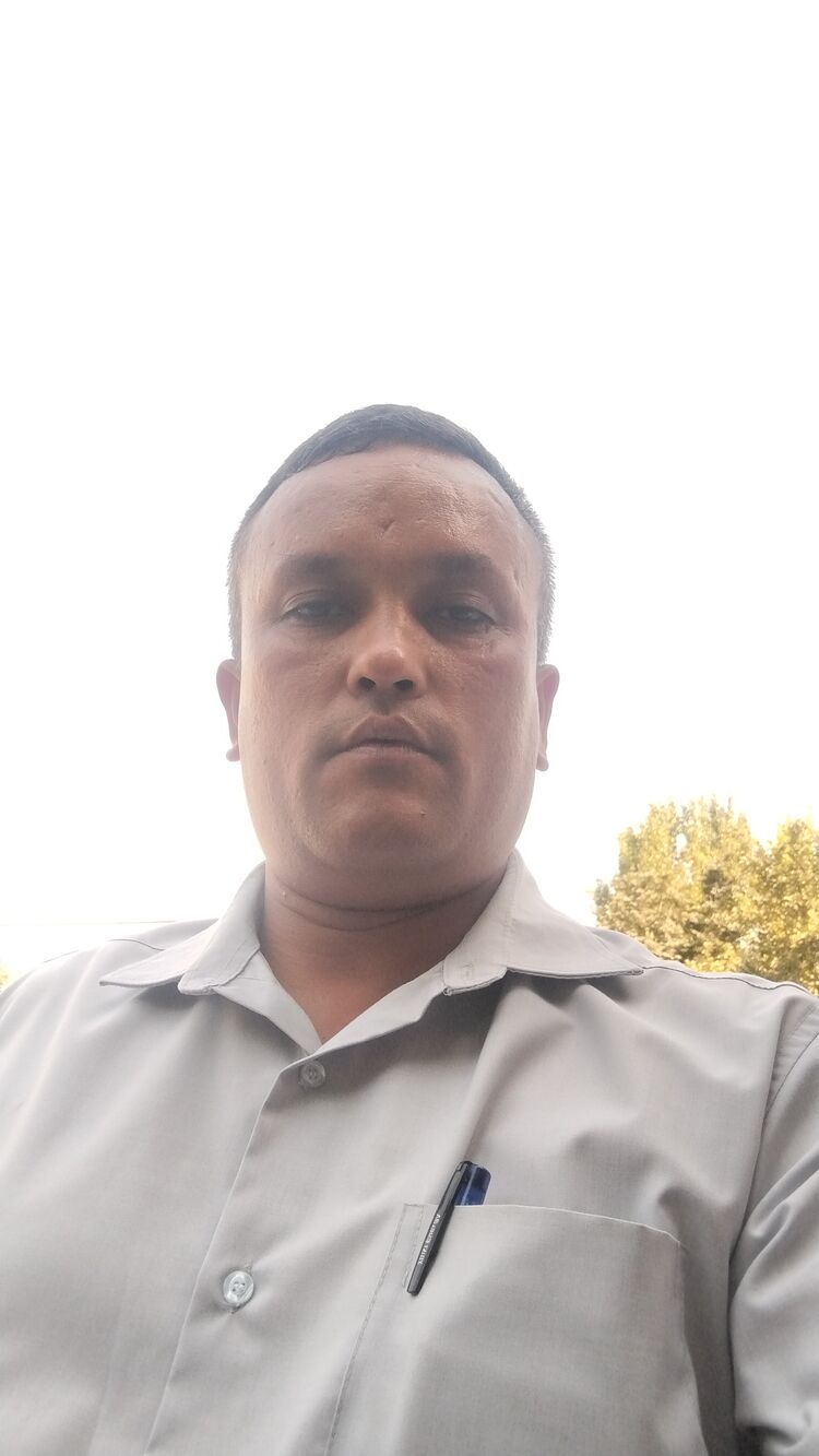  45933762  , 42 ,    
