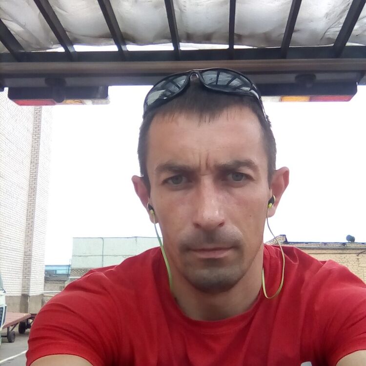  44473072  , 38 ,    