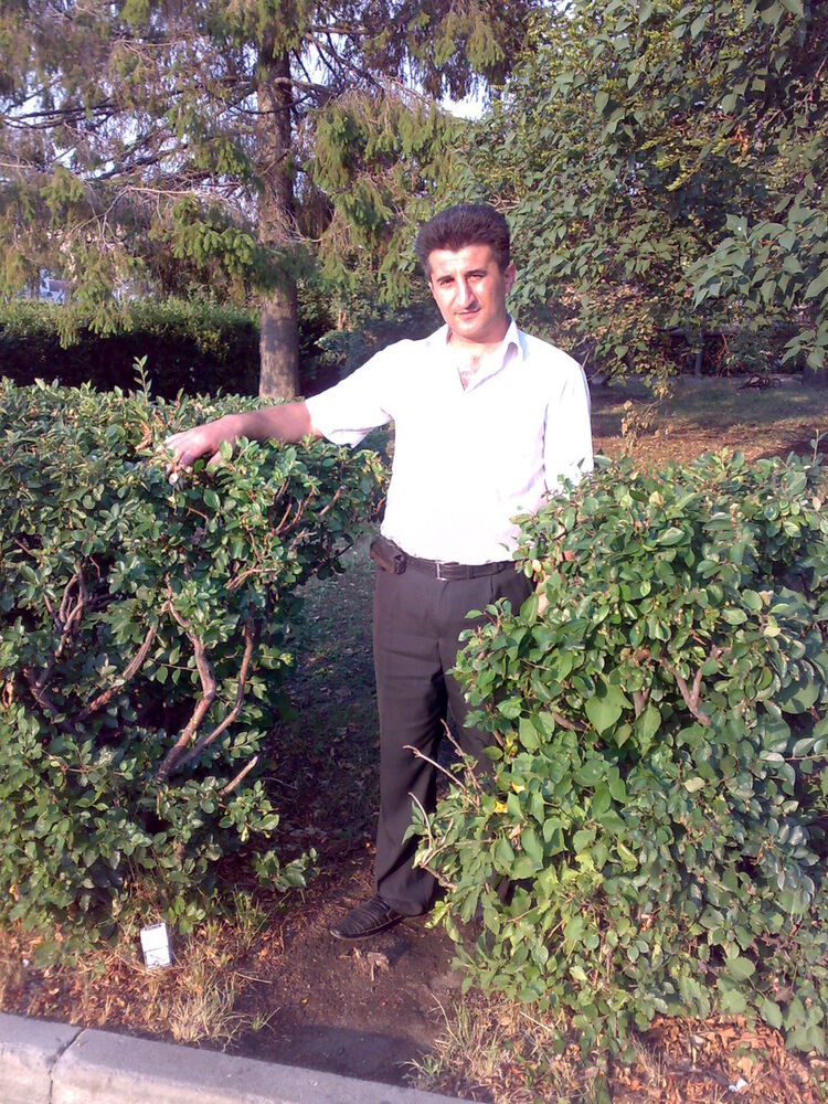 ���������� ���������, ���� ������� ��Ҩ�, 49 ���, ������������ ��� ������, ���������