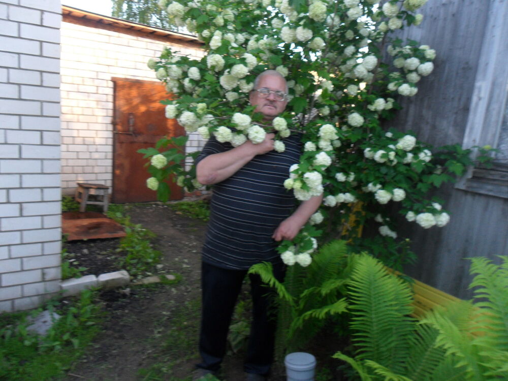  ,   , 61 ,   