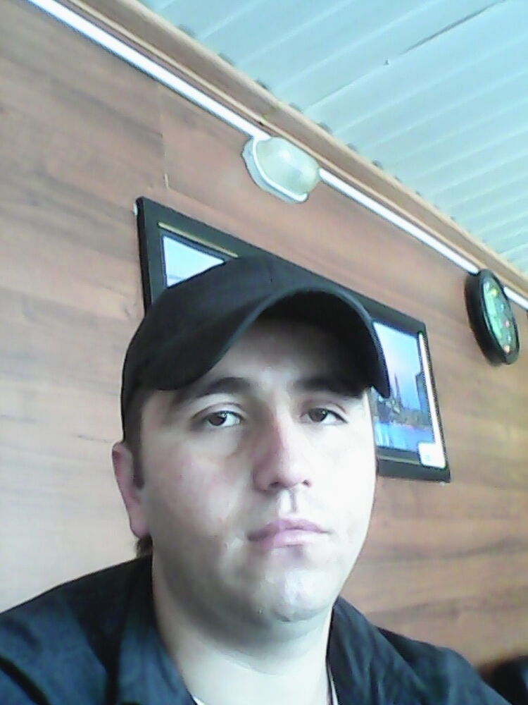  7951462  , 33 ,    