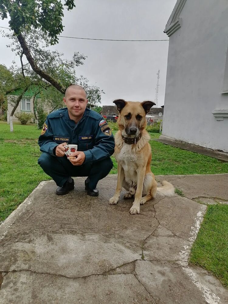 ���� 40280582 ������� �������, 29 ���, ���� ���������� � ������������