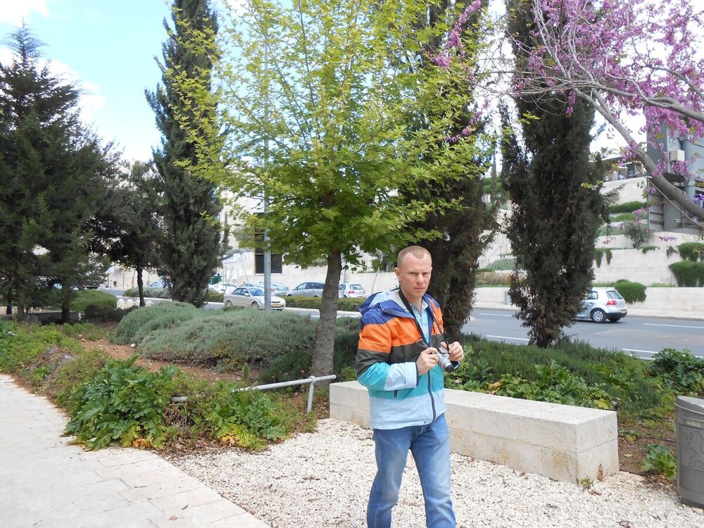 ���������� �����, ���� ������� ���������, 40 ���, ������������ ��� ������, ����� � ���������, c�������� ���������