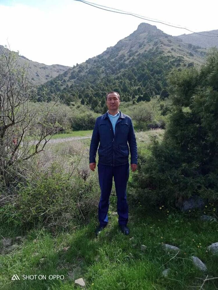 ���������� �������, ���� ������� �����, 41 ���, ������������ ��� ������, ����� � ���������