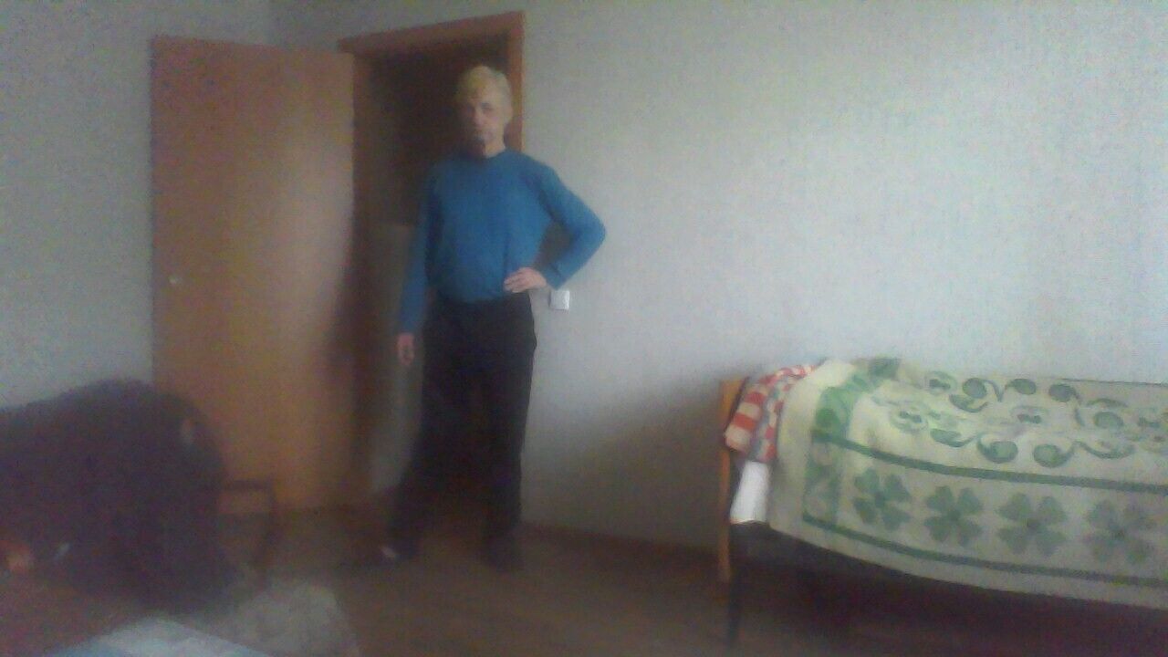  33231512  , 38 ,    