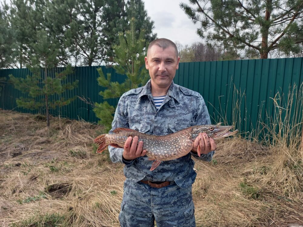 ���� 23074332 ������� ���������, 45 ���, ���� ���������� � ������