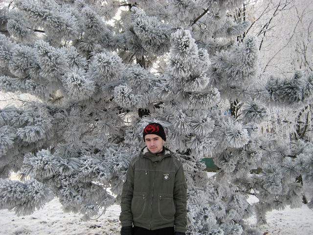  5859562  Vadim, 35 ,    