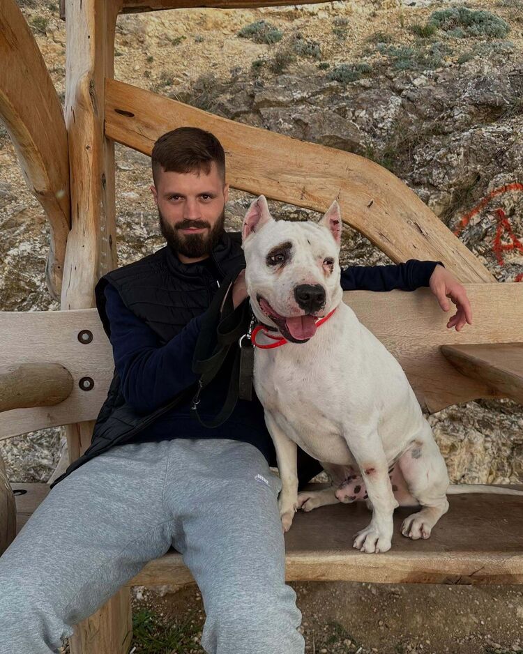 ���� 55216782 ������� �����, 36 ���, ���� ���������� � ��������