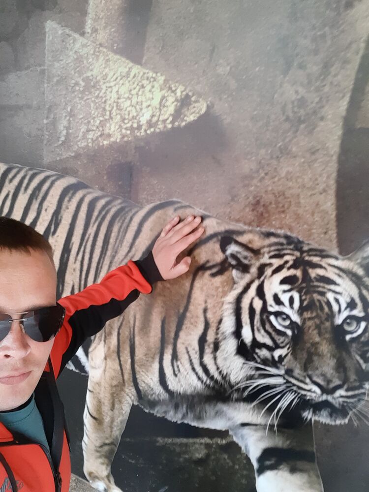 ���������� ������, ���� ������� ˸��, 36 ���, ������������ ��� ������, ����� � ���������