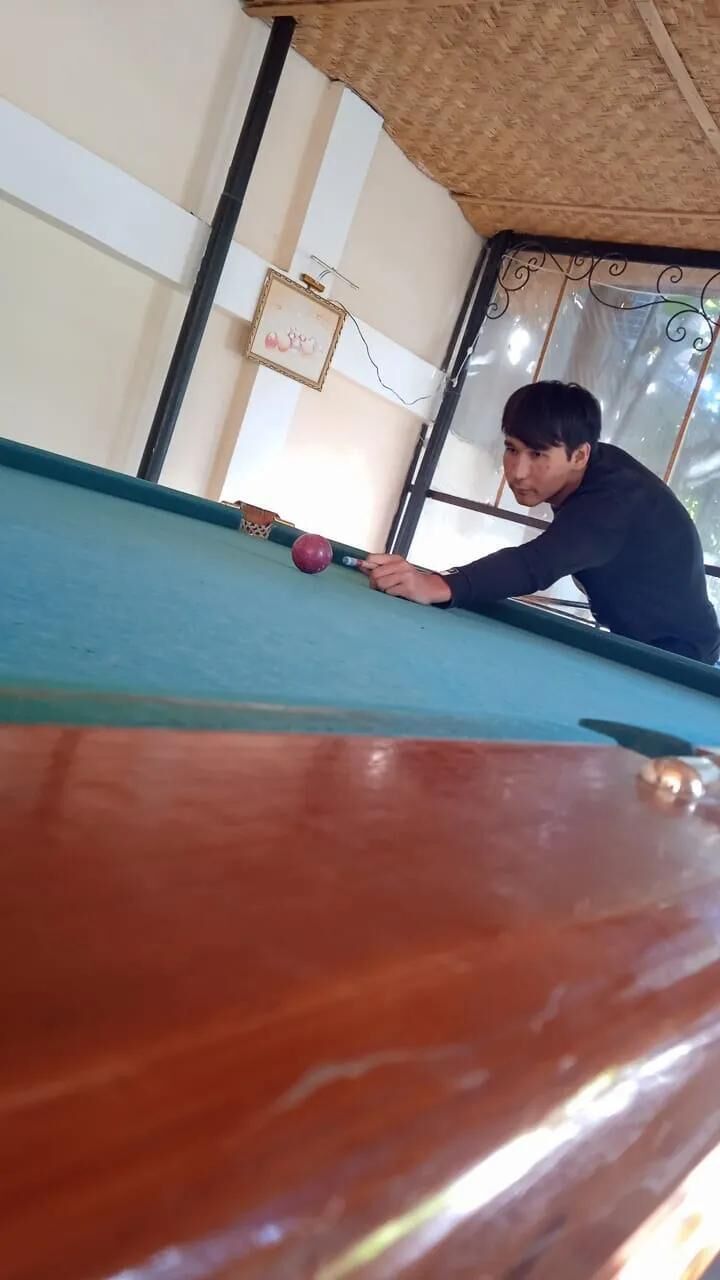  26191482  , 26 ,    
