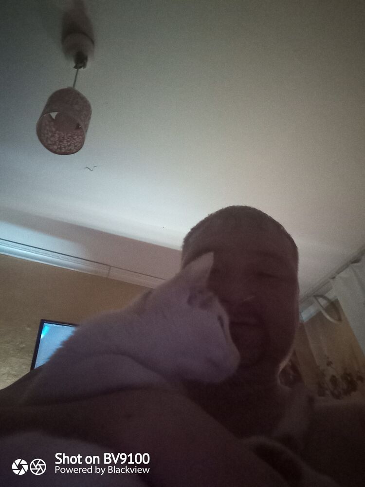 ���������� �����������, ���� ������� �������, 41 ���, ������������ ��� ������, ����� � ���������