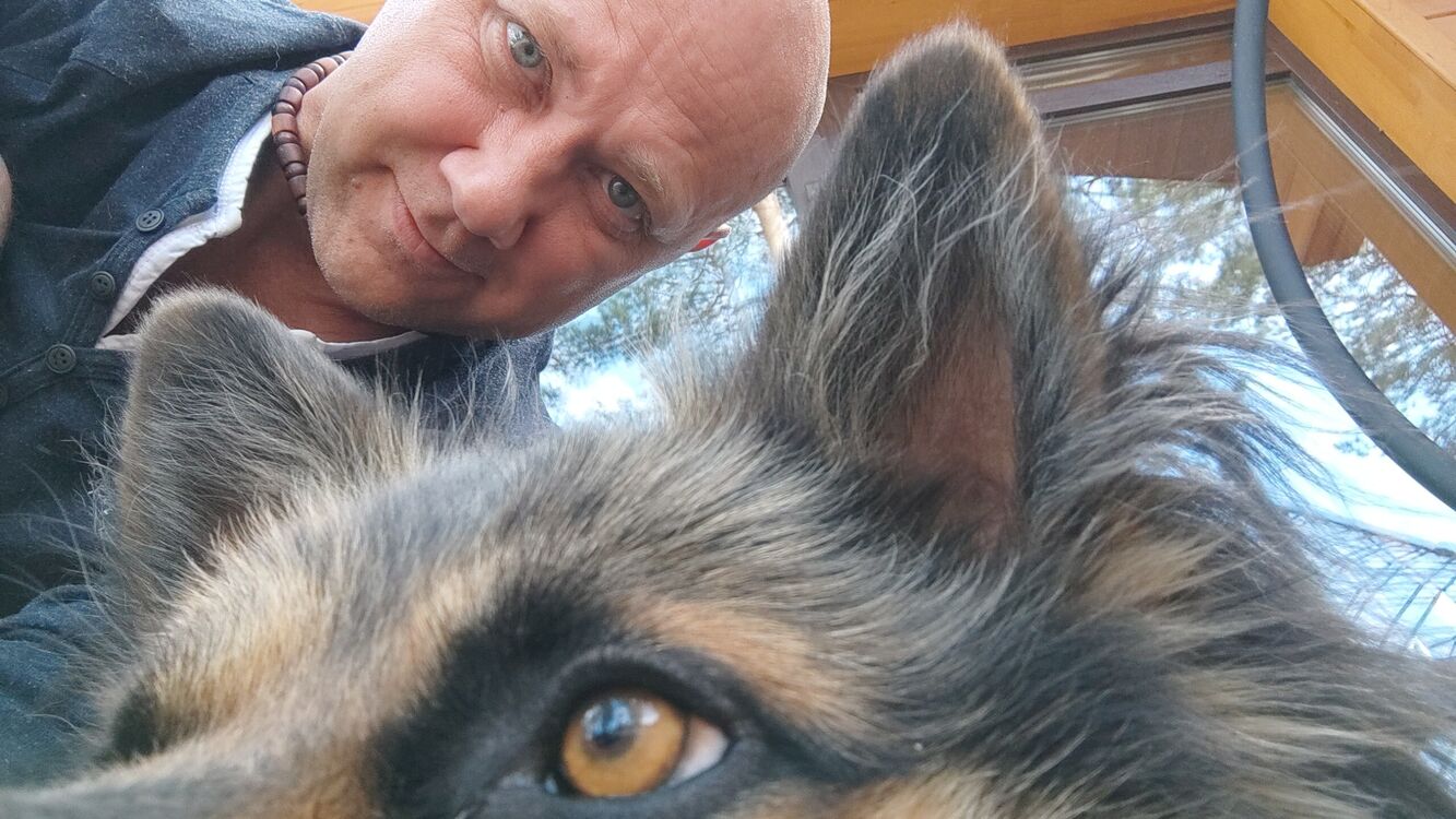 ���� 26906042 ������� Stef, 51 ���, ���� ���������� � �������