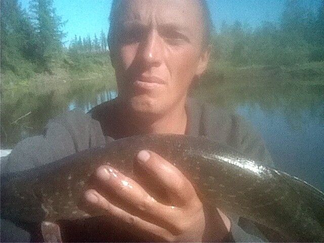 ���� 8133792 ������� ������, 43 ����, ���� ���������� � ���������