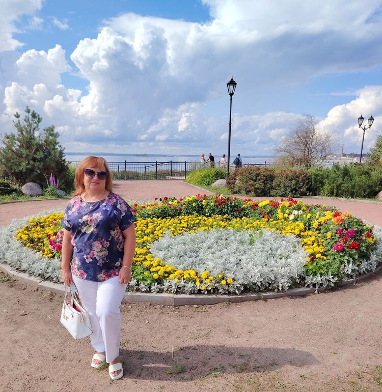  -,   , 49 ,     