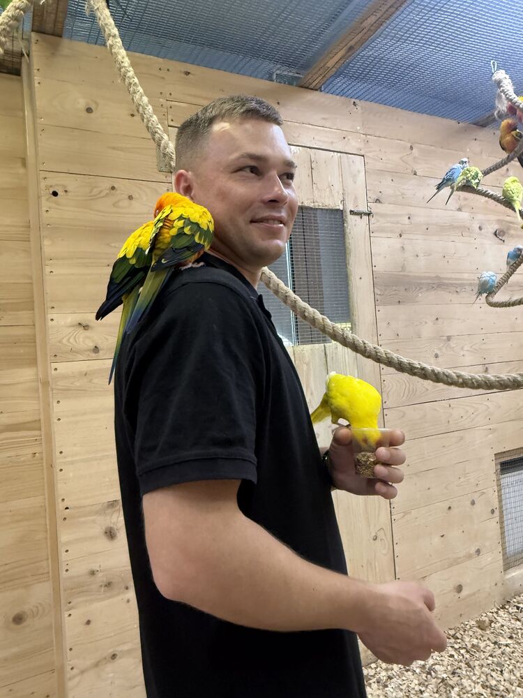 ���������� �����, ���� ������� Artur, 35 ���, ������������ ��� ������, ����� � ���������, c�������� ���������