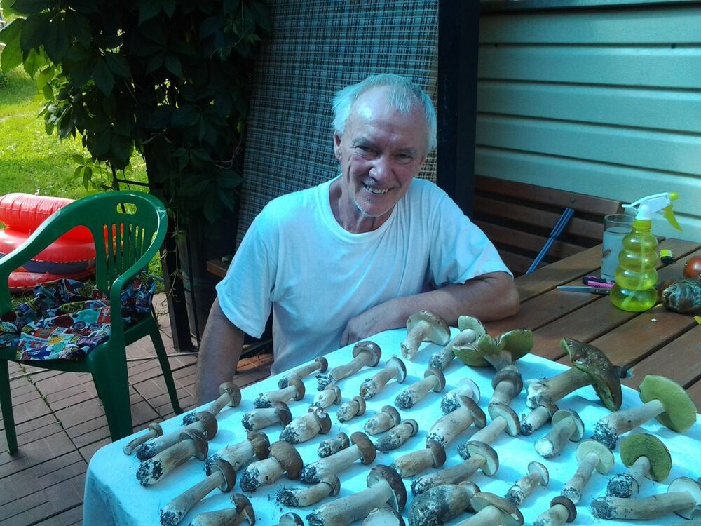 ���������� ������, ���� ������� ��������, 72 ����, ������������ ��� ������, ����� � ���������, c�������� ���������