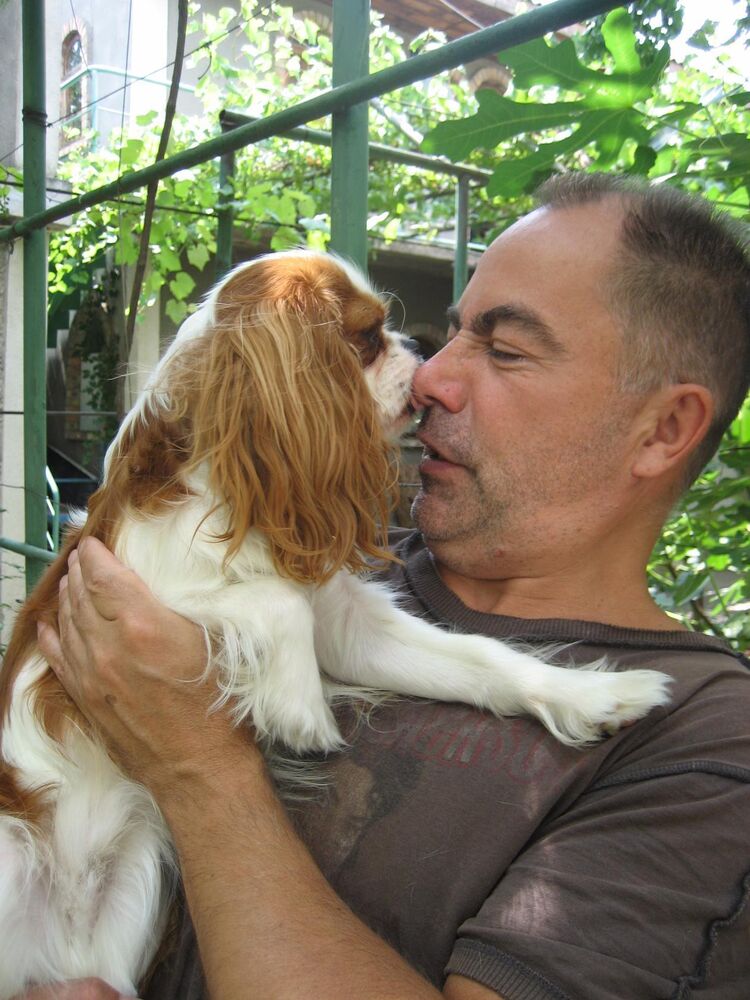 ���� 55808312 ������� �����, 53 ����, ���� ���������� � ������