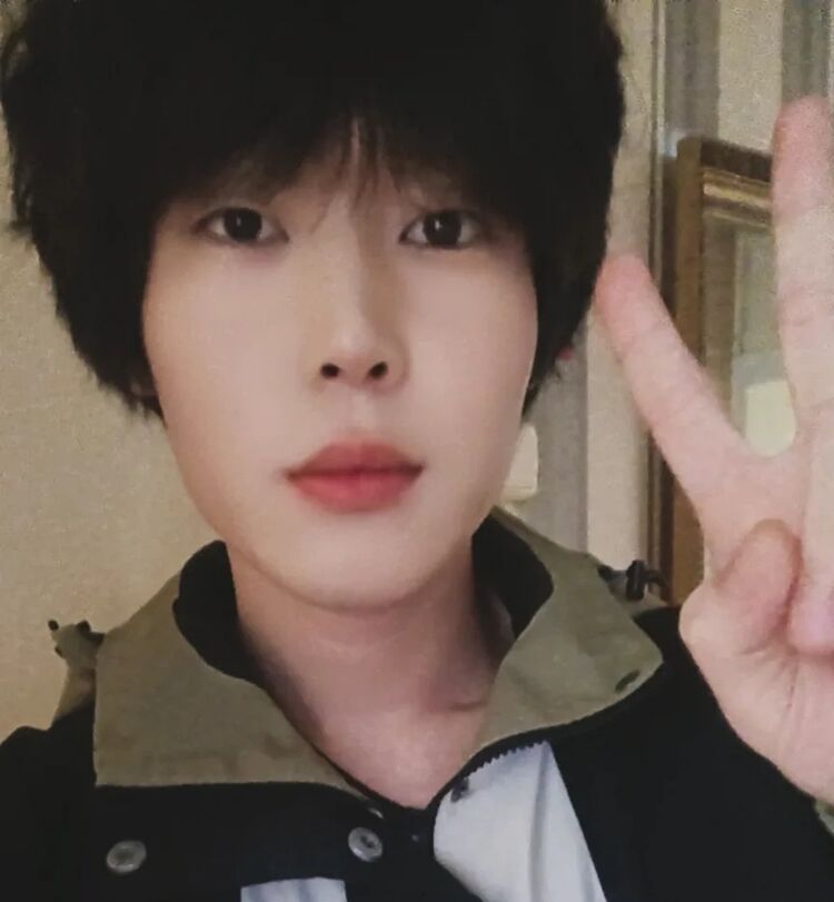 ���� 43387582 ����� Itadoli, 23 ����, ���� ���������� � ������