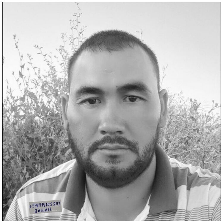 ���� 23490692 ������� Ali, 41 ���, ���� ���������� � ������������