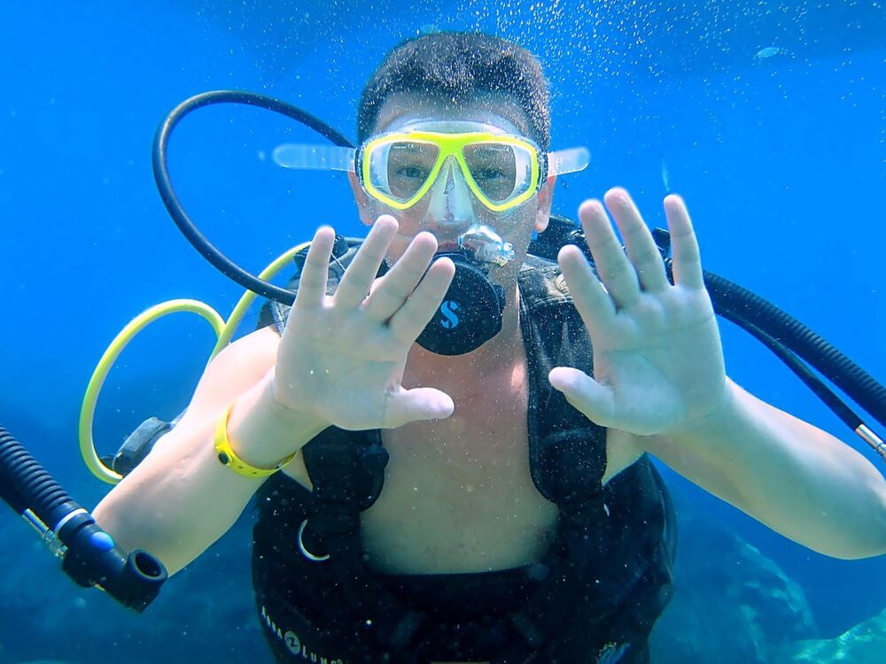 ���������� ������, ���� ������� ����, 43 ����, ������������ ��� ����� � ���������, c�������� ���������