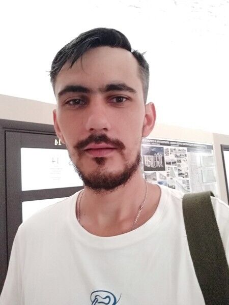 ���� 48005082 ������� ������, 33 ����, ���� ���������� � ������