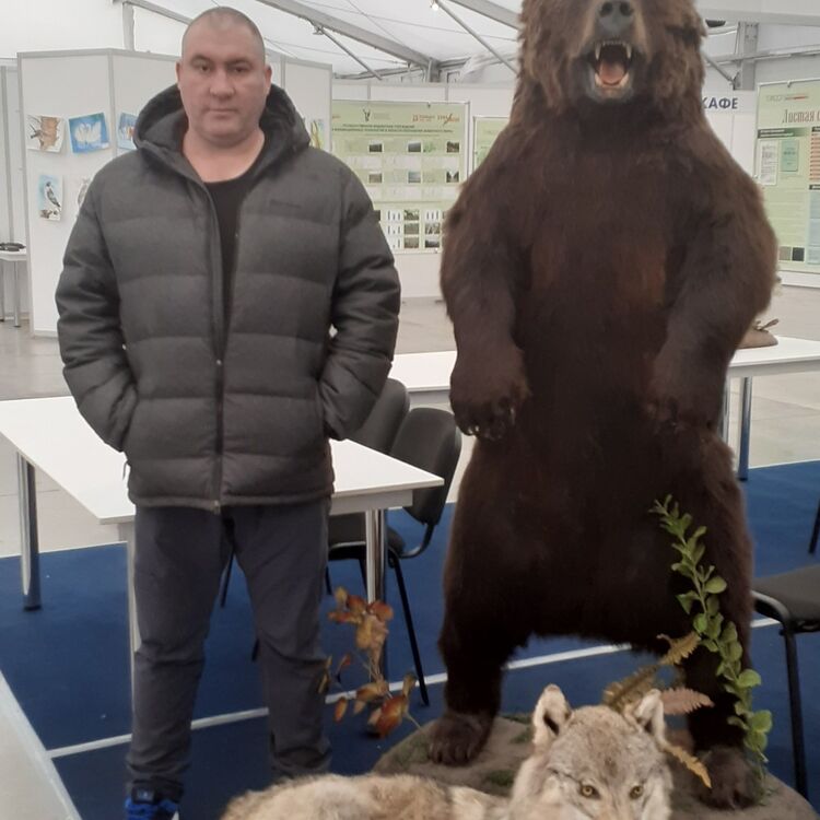 ���� 19585782 ������� ����, 44 ����, ���� ���������� � ������