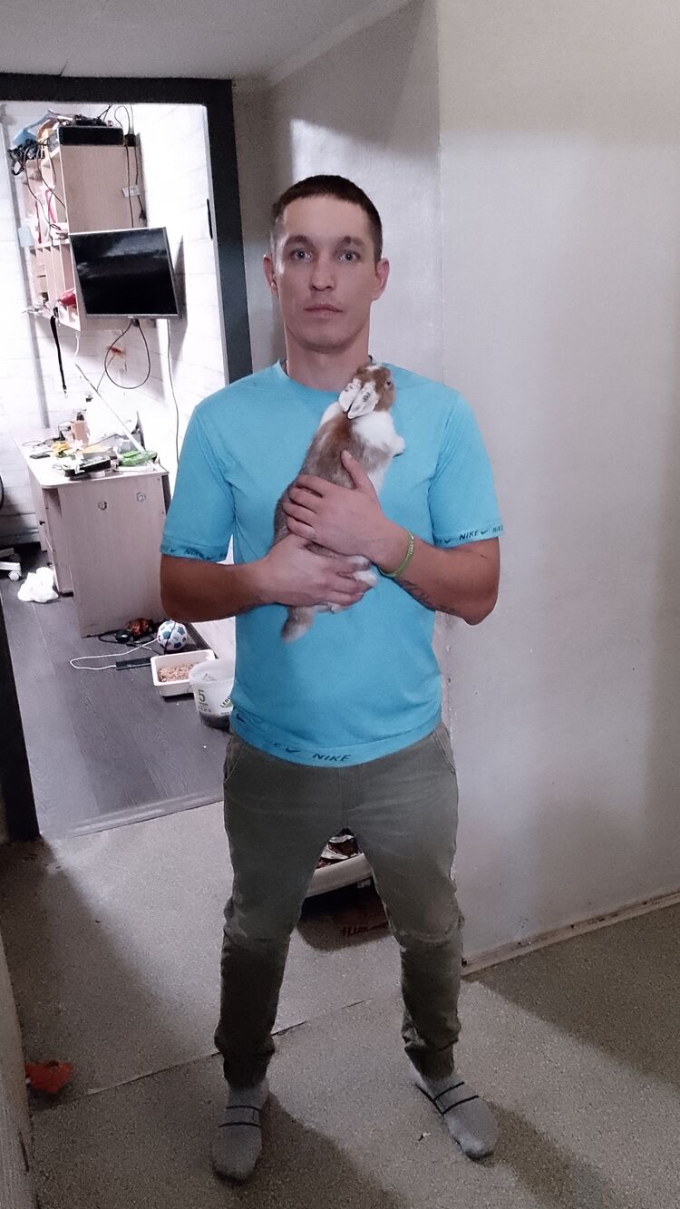 ���� 47171142 ������� ����, 35 ���, ���� ���������� � ������