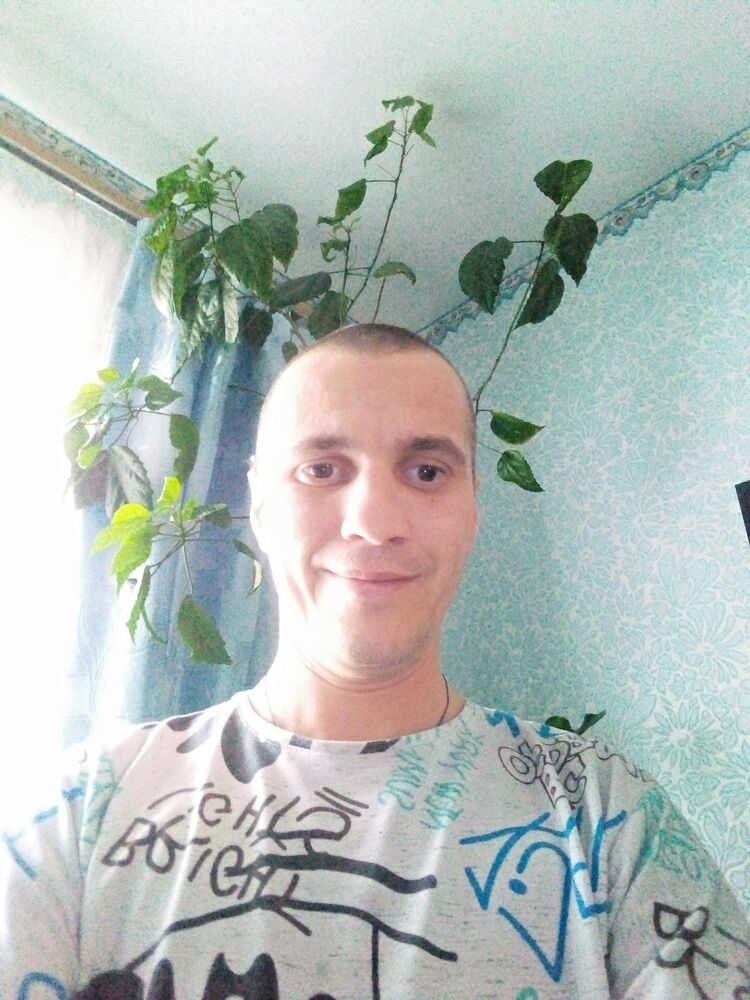  43318602  , 39 ,    