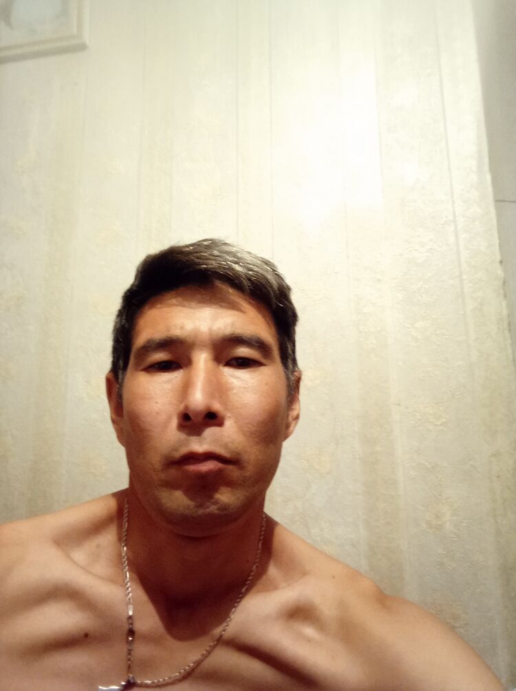 23493282  , 44 ,    
