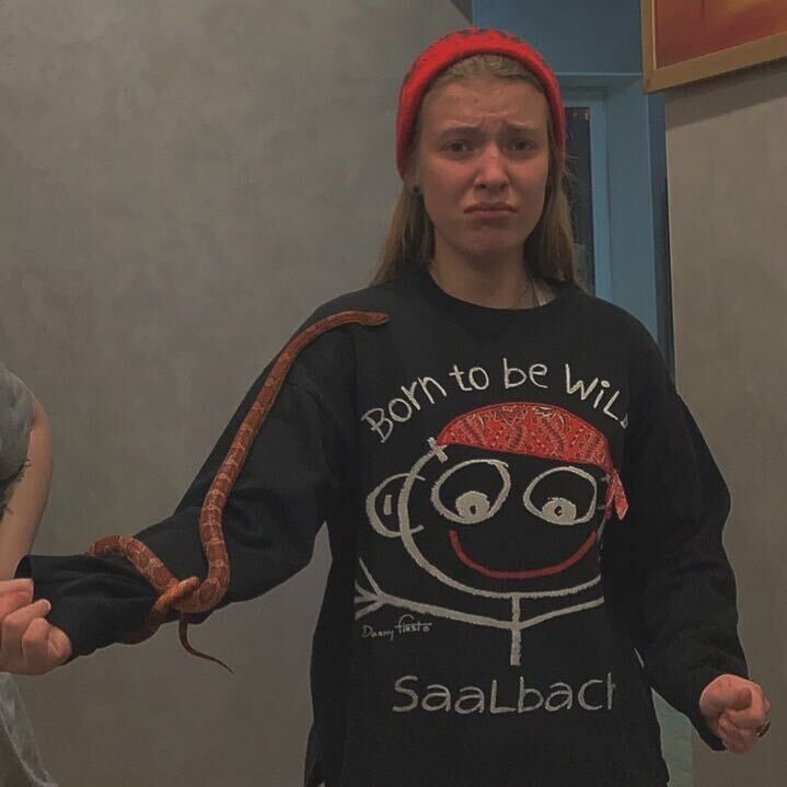 ���� 25068532 ������� ����, 22 ����, ���� ���������� � ������