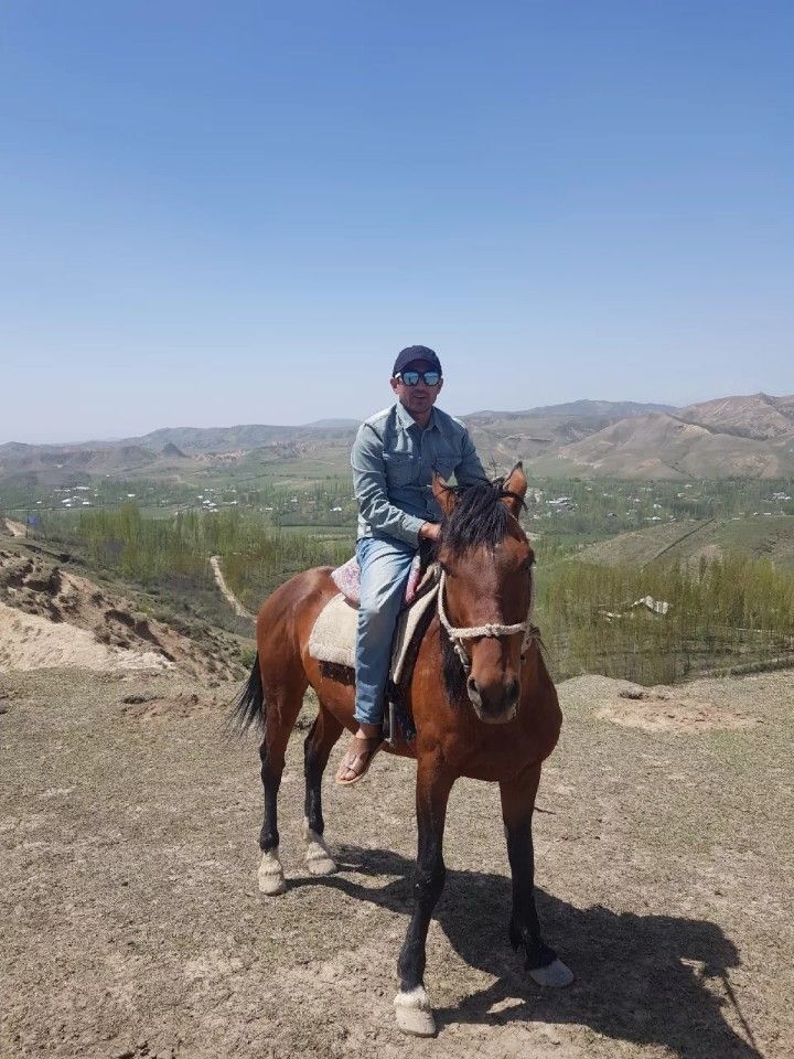 ���� 31374612 ������� ��������, 43 ����, ���� ���������� � ��������