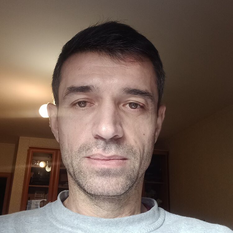  53813452  , 43 ,    -