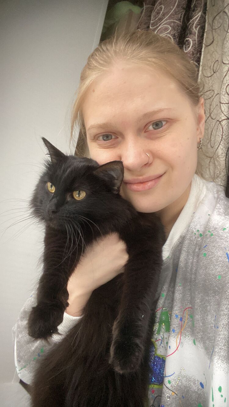  54558952  , 29 ,    -