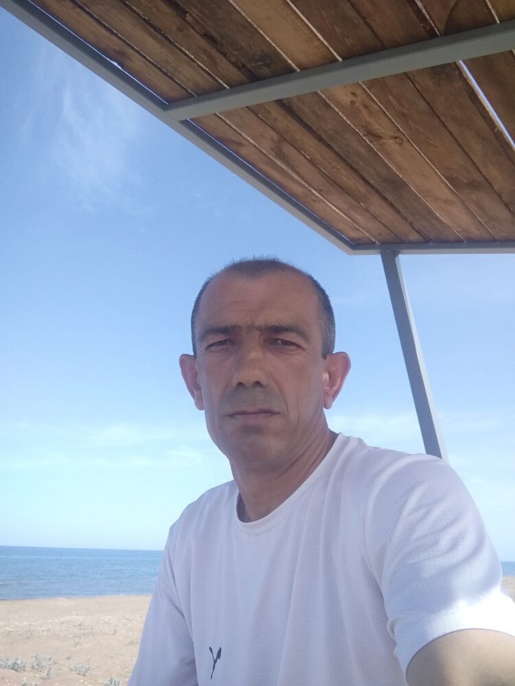  29377662  , 51 ,    