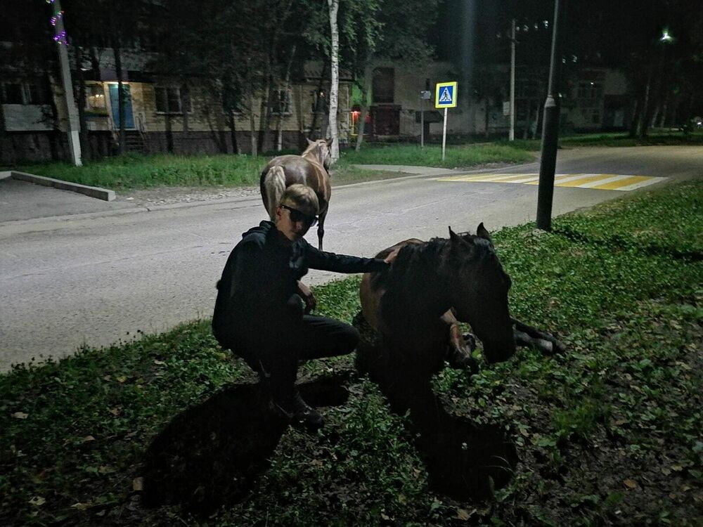 ���� 22044502 ����� ��������, 23 ����, ���� ���������� � ��������