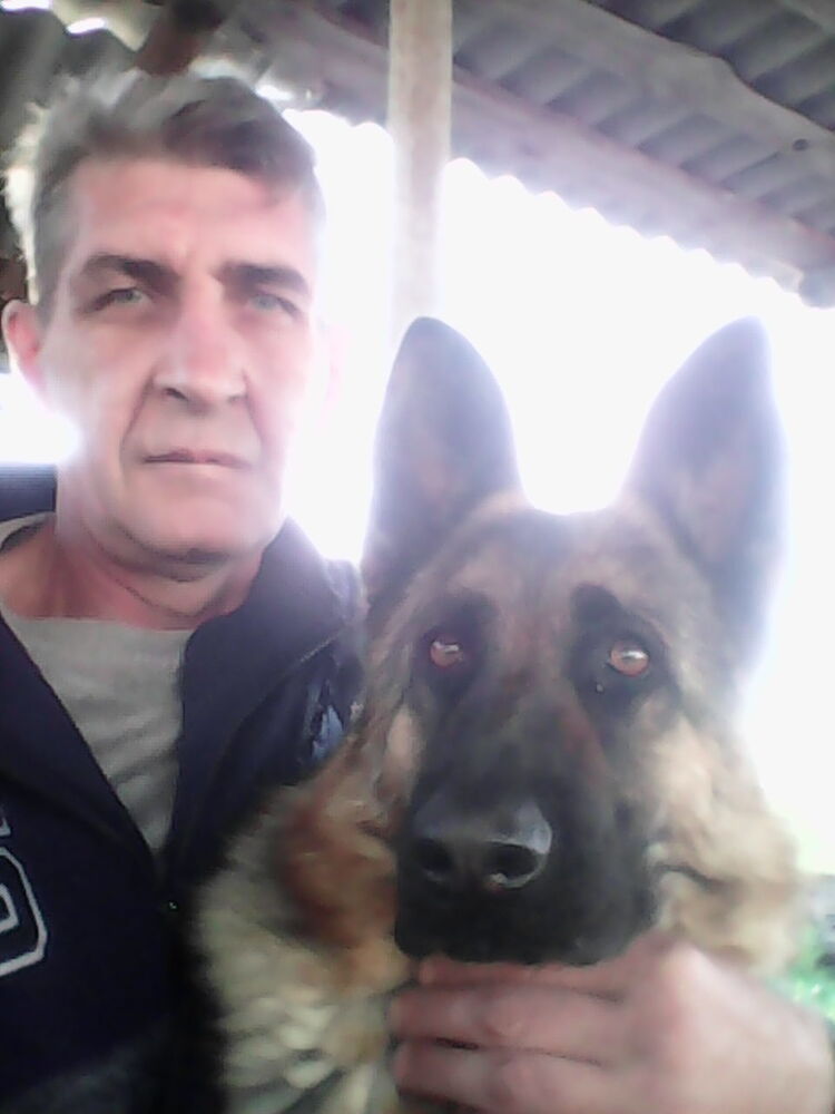 ���� 55608592 ������� ������, 56 ���, ���� ���������� � ����