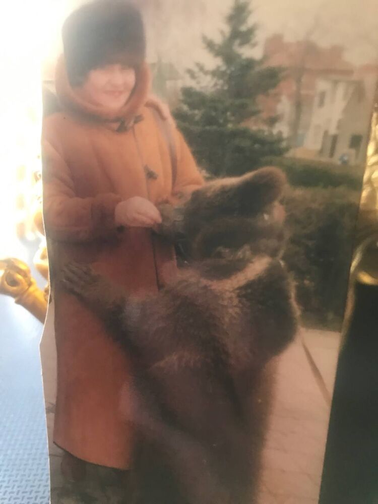 ���� 53427592 ������� �������, 71 ���, ���� ���������� � �����