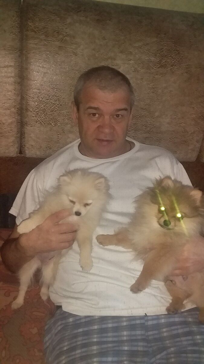 ���������� �����, ���� ������� ��������, 56 ���, ������������ ��� ������, ����� � ���������, c�������� ���������