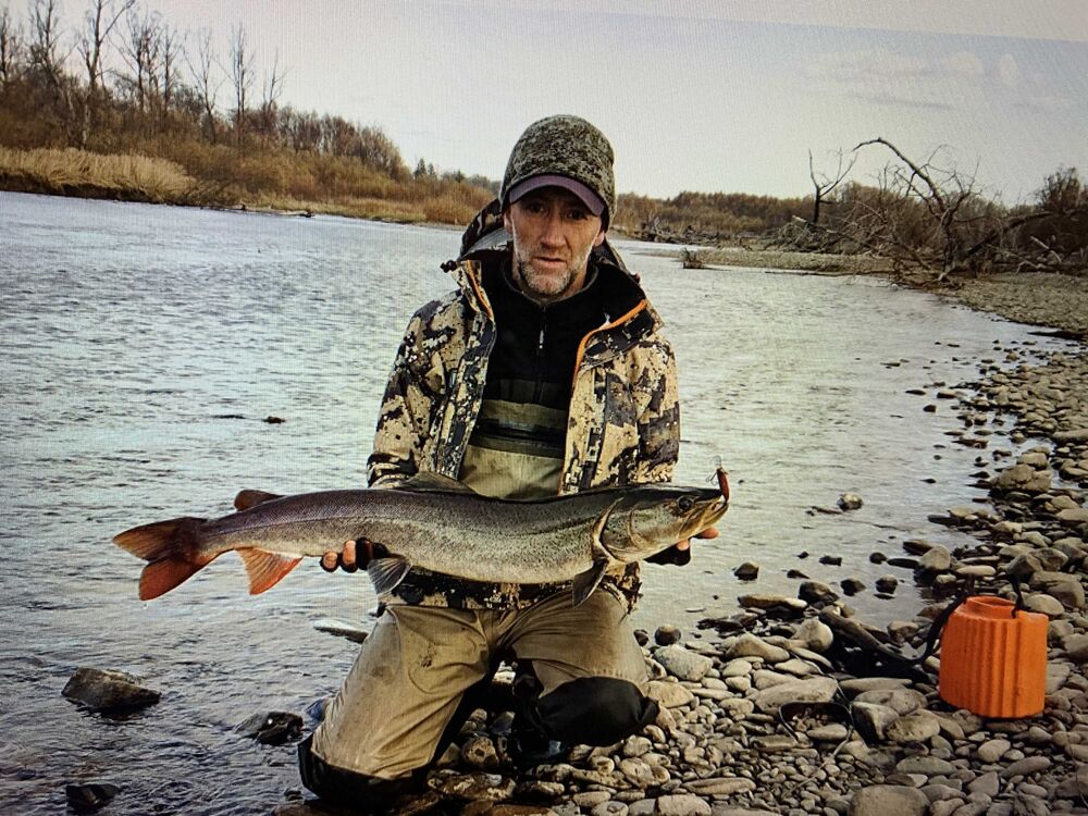 ���� 24025562 ������� �������, 48 ���, ���� ���������� � ������������