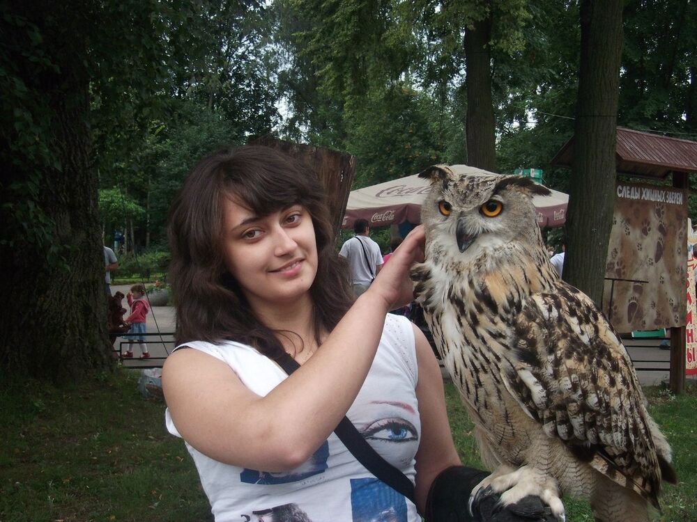  8086402  , 33 ,    -