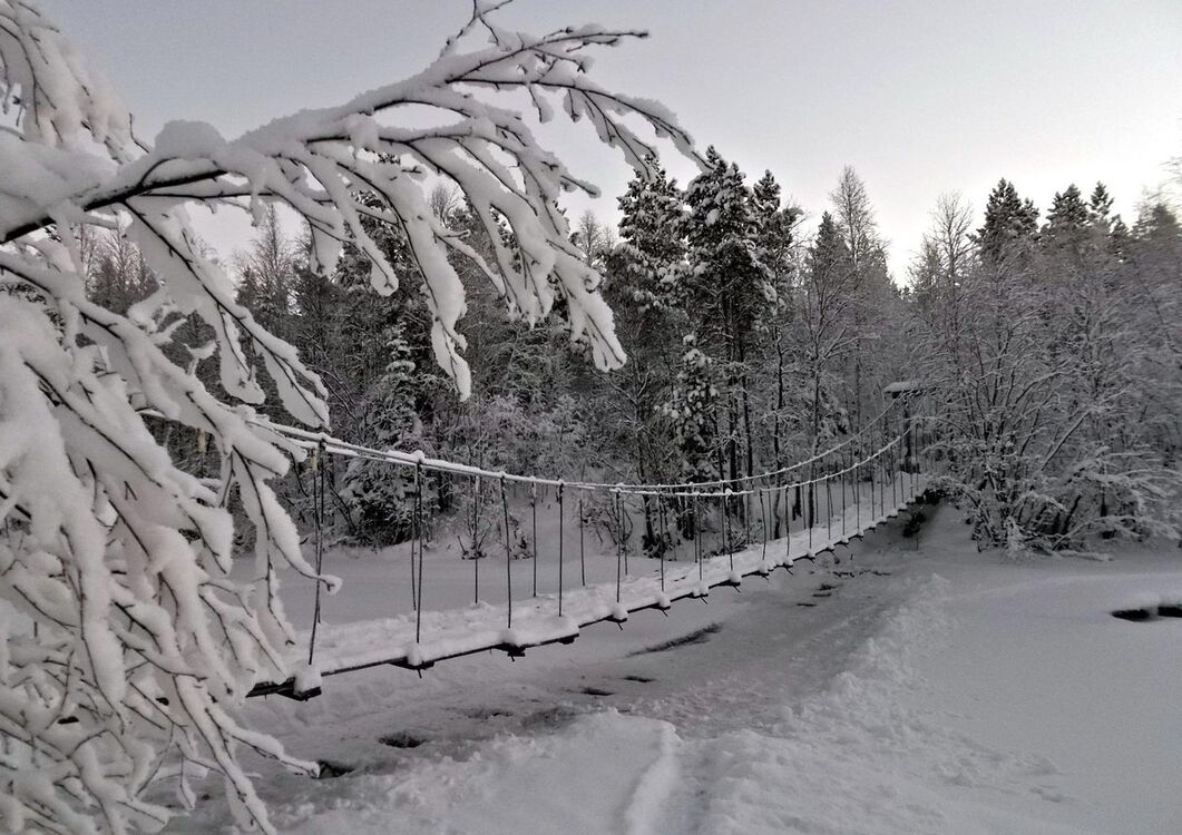 ���������� ����, ���� ������� �����, 39 ���, ������������ 