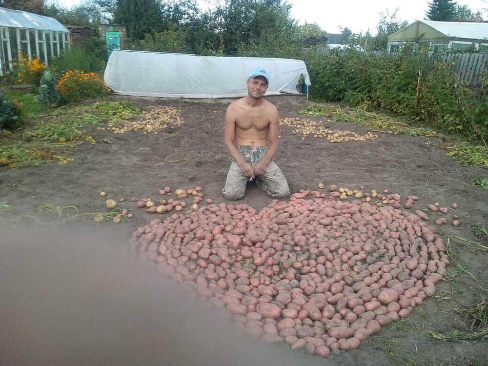  30191042  , 43 ,    