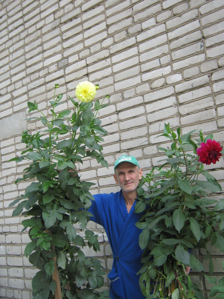  ,   , 63 ,   